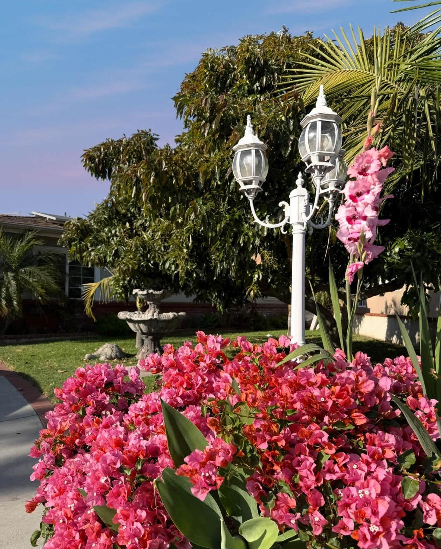Orchard Villa Disneyland 5 Bedroom Pool Home Spa Anaheim Exterior foto